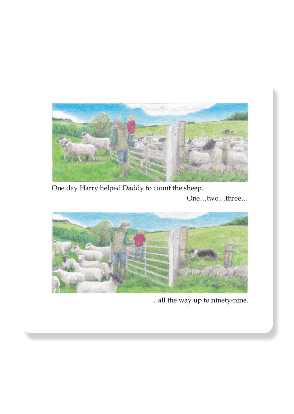 Harry And The Lost Sheep