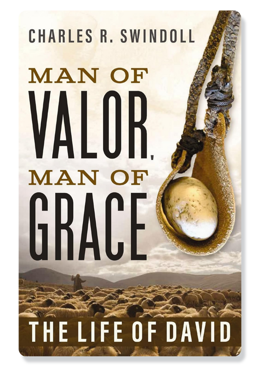 The Life of David: Man of Valor, Man of Grace