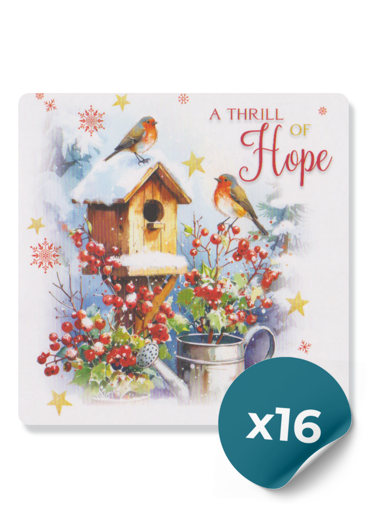 Christmas Cards: Garden Robins (16 Cards)