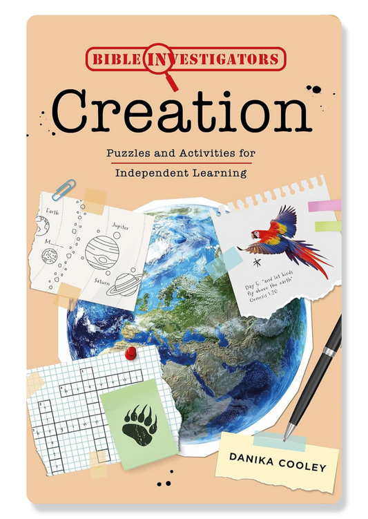 Bible Investigators: Creation