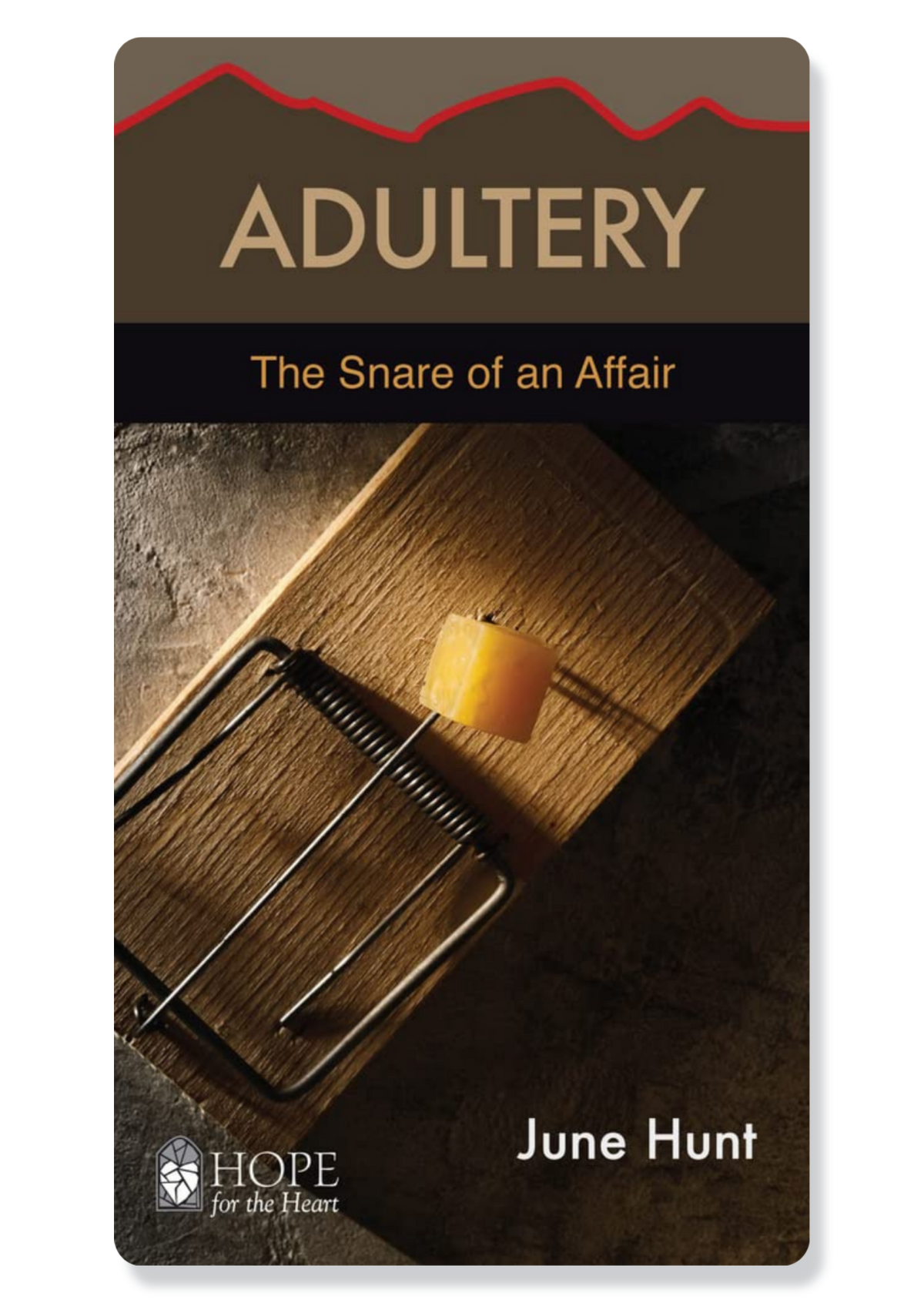 Adultery: The Snare of an Affair
