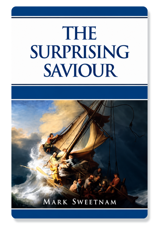 The Surprising Saviour