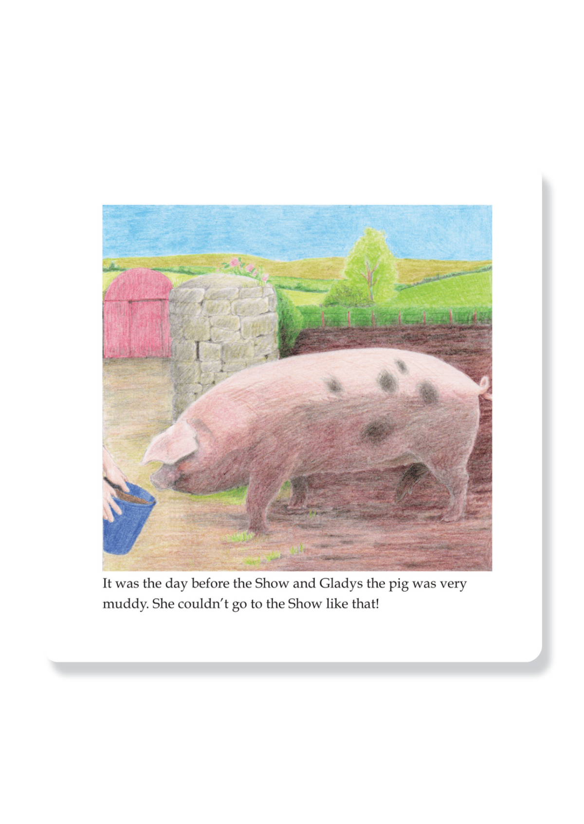 Harry And The Muddy Pig