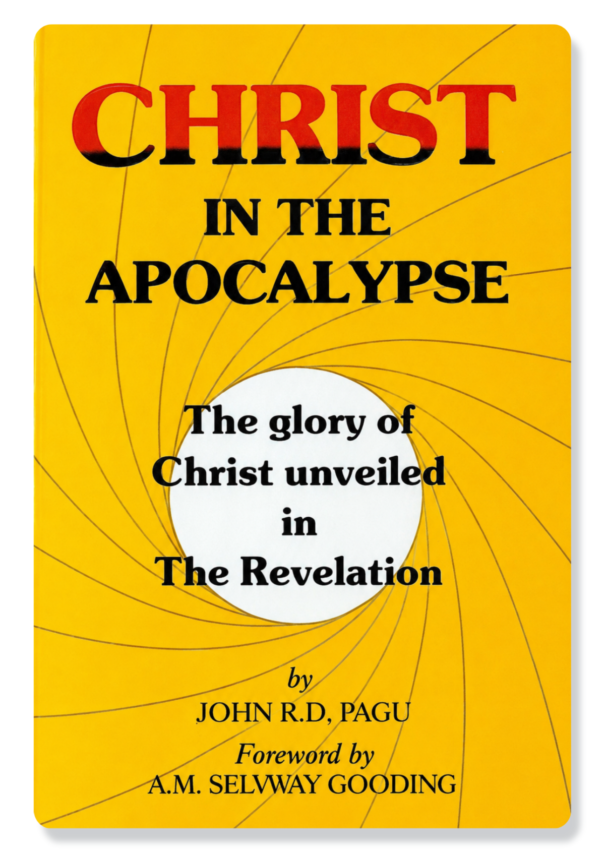 Christ In The Apocalypse