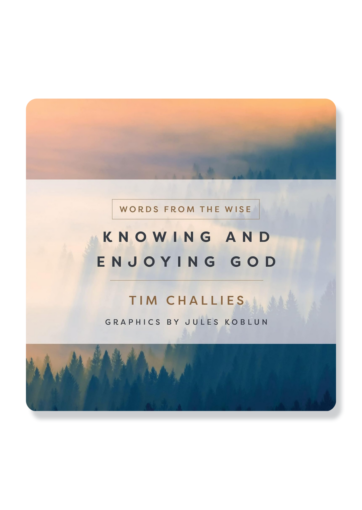 Knowing and Enjoying God
