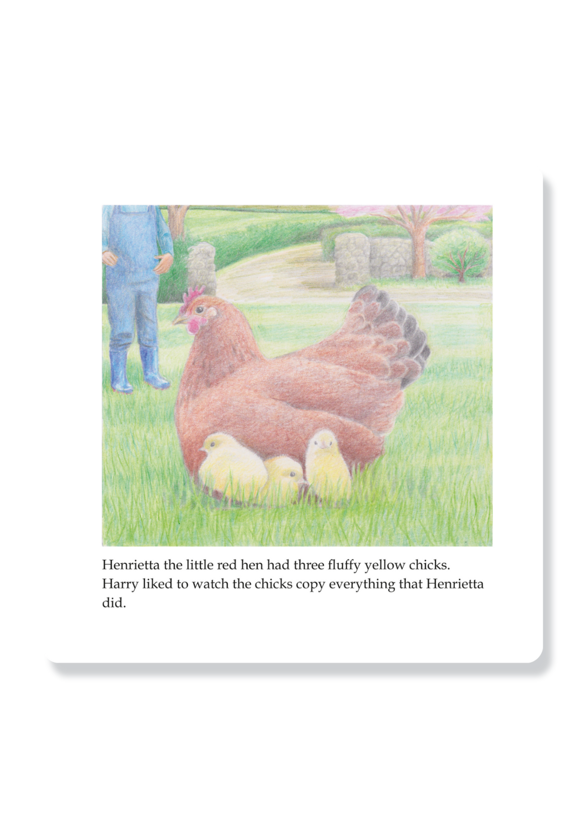 Harry And The Careless Chick
