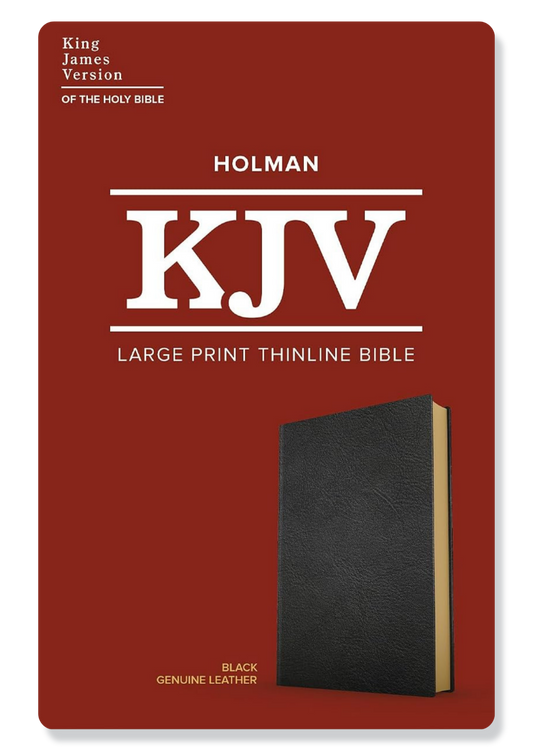 KJV Large Print Ultrathin Reference Bible, Genuine Leather (Black)