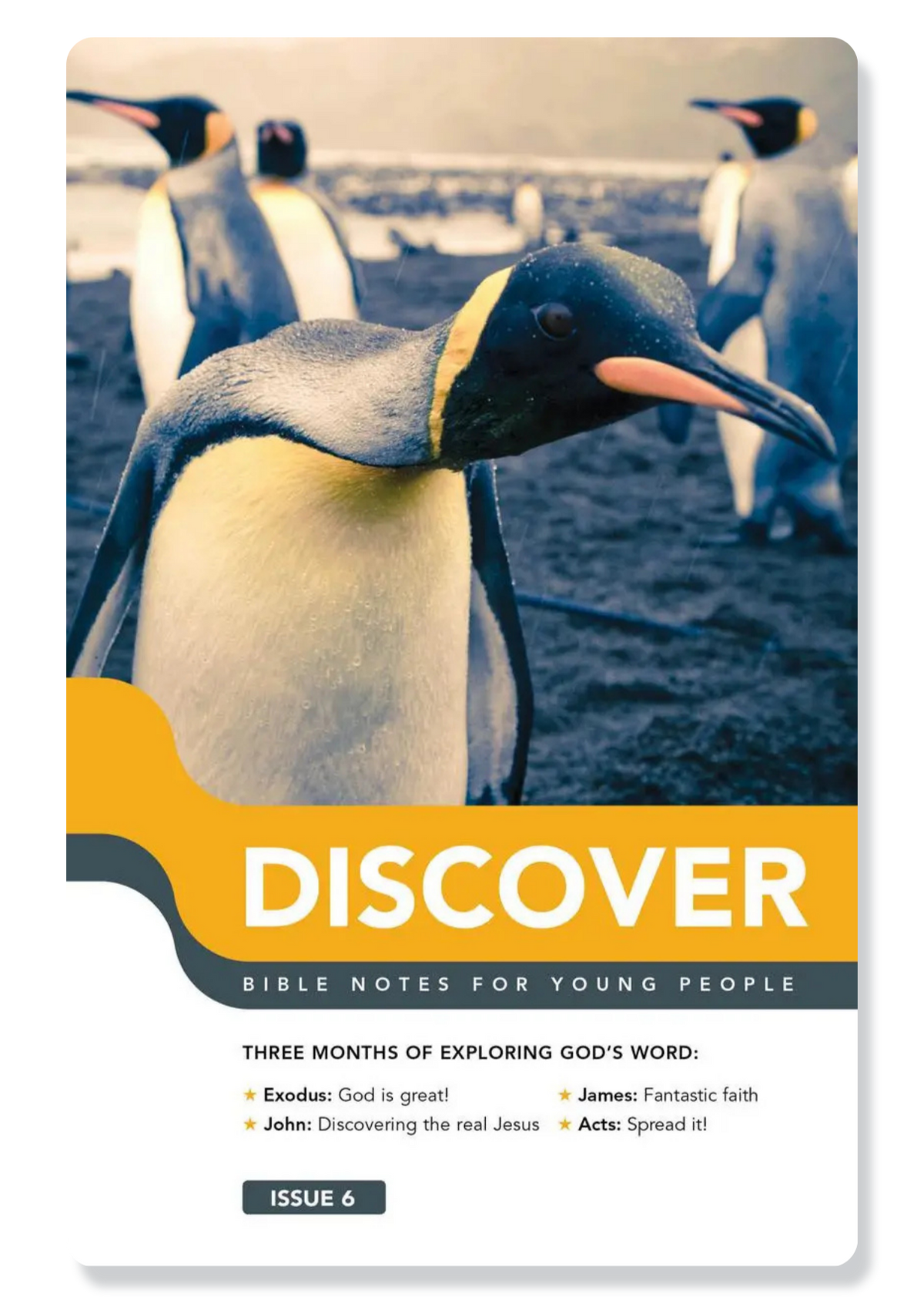 Book 6: Discover