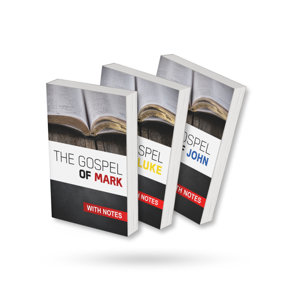 The Gospels with Notes by Craig Munro