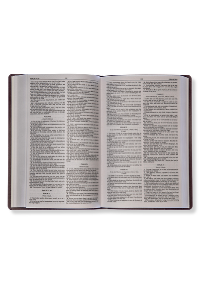 KJV Gift And Award Bible Imitation Leather (Burgundy)