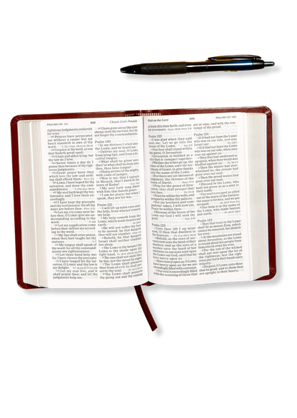 KJV Large Print Compact Reference Bible, Leathertouch (Brown)