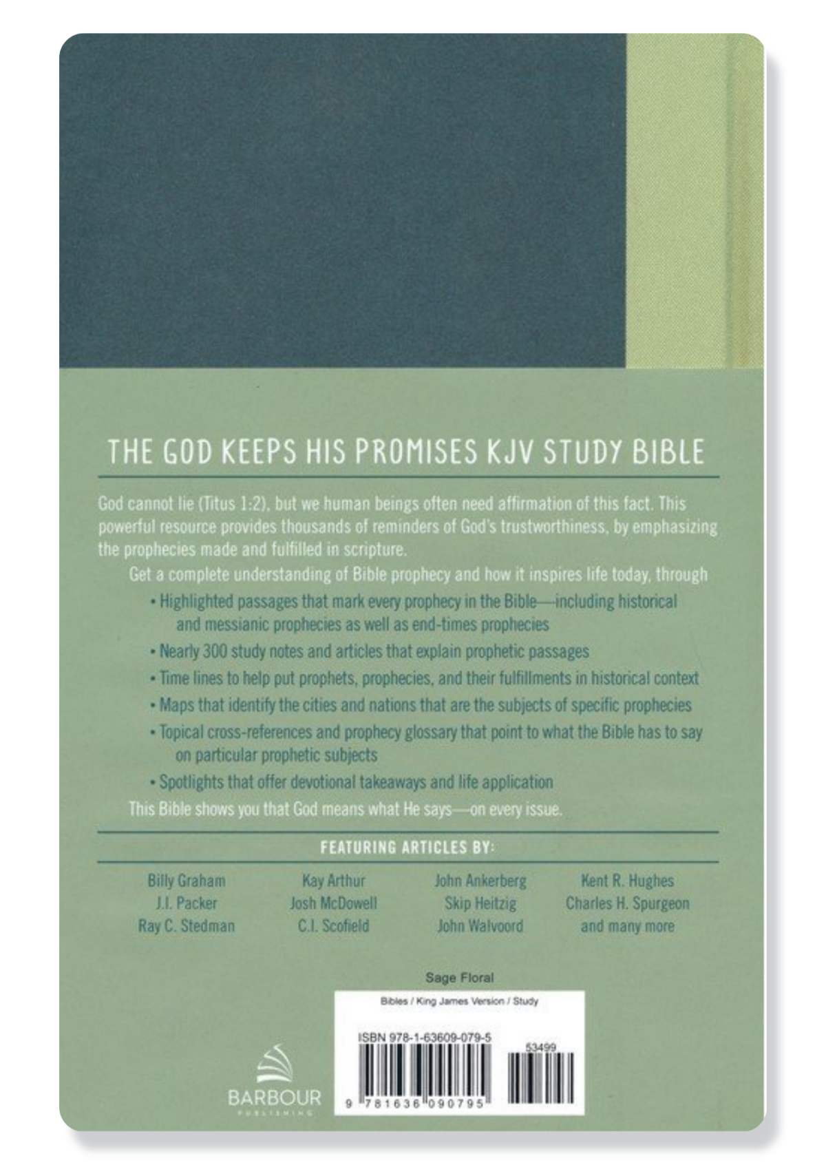 KJV God Keeps His Promises KJV Study Bible (Blue)