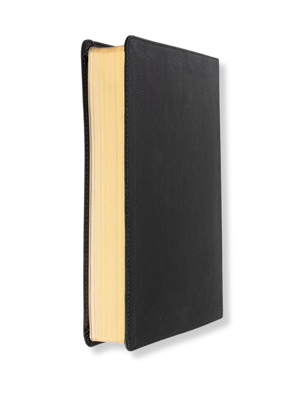 CSB Apologetics Study Bible, Leathertouch (Black)