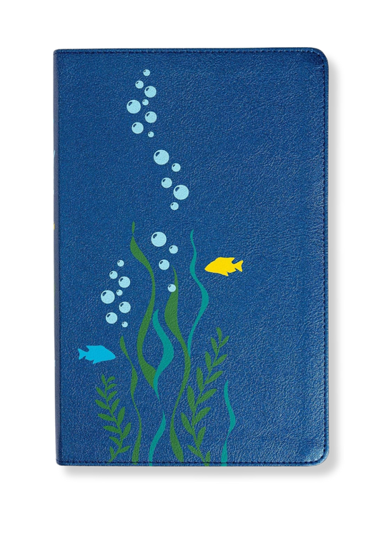 KJV Easy-For-Me Bible For Early Readers, Imitation Leather (Seafoam)