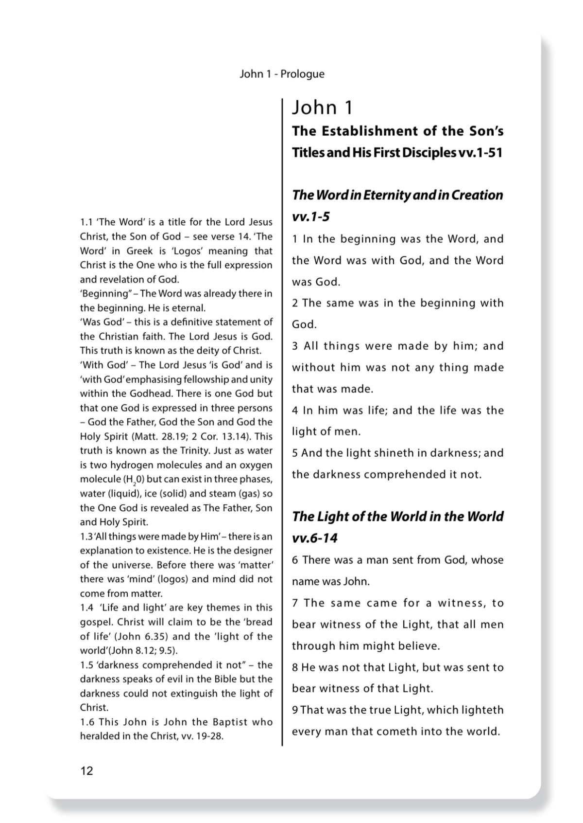 The Gospel of John, with Notes