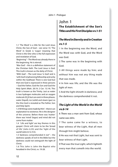 The Gospel of John, with Notes