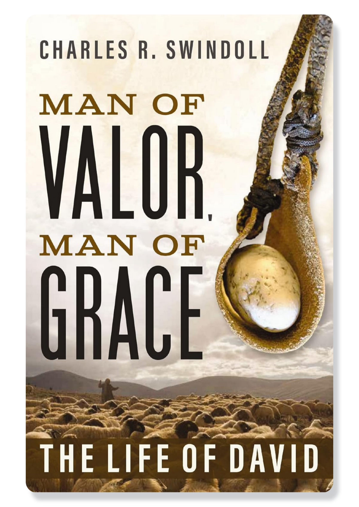The Life of David: Man of Valor, Man of Grace