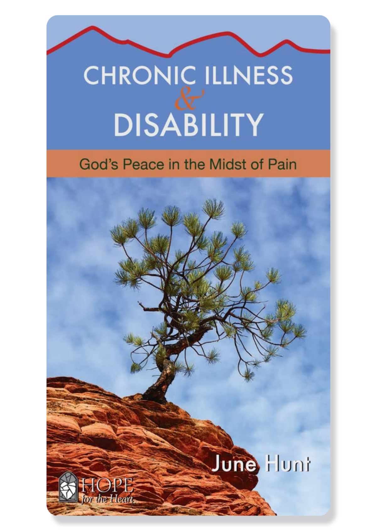 Chronic Illness and Disability: God's Peace in the Midst of Pain