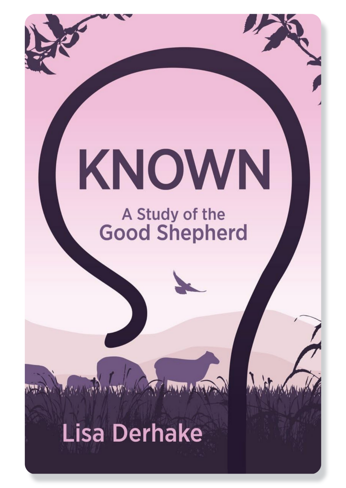 Known: A Study of the Good Shepherd