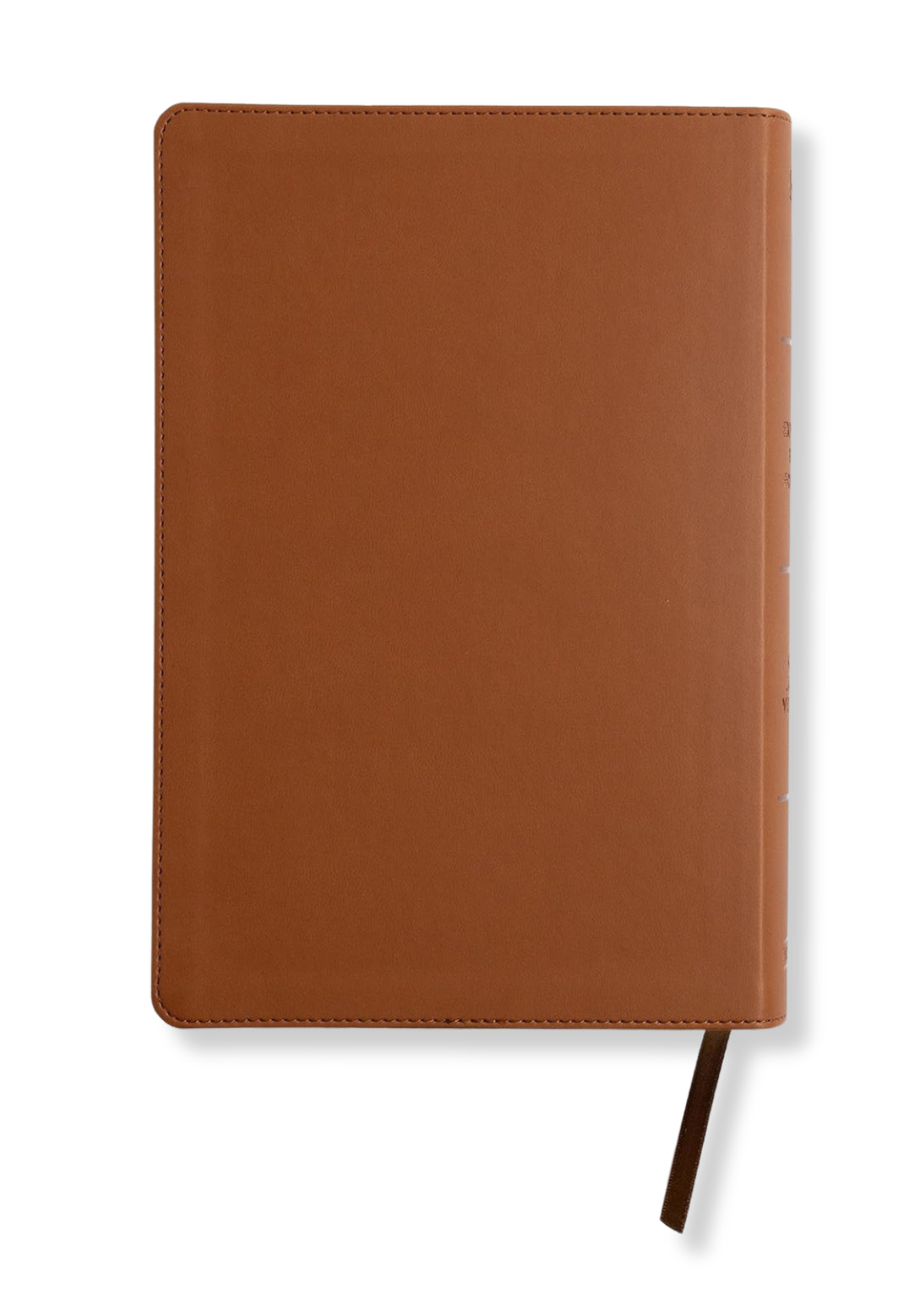 KJV Explorer Bible for Kids (Brown)