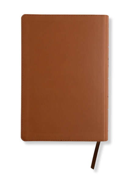KJV Explorer Bible for Kids (Brown)