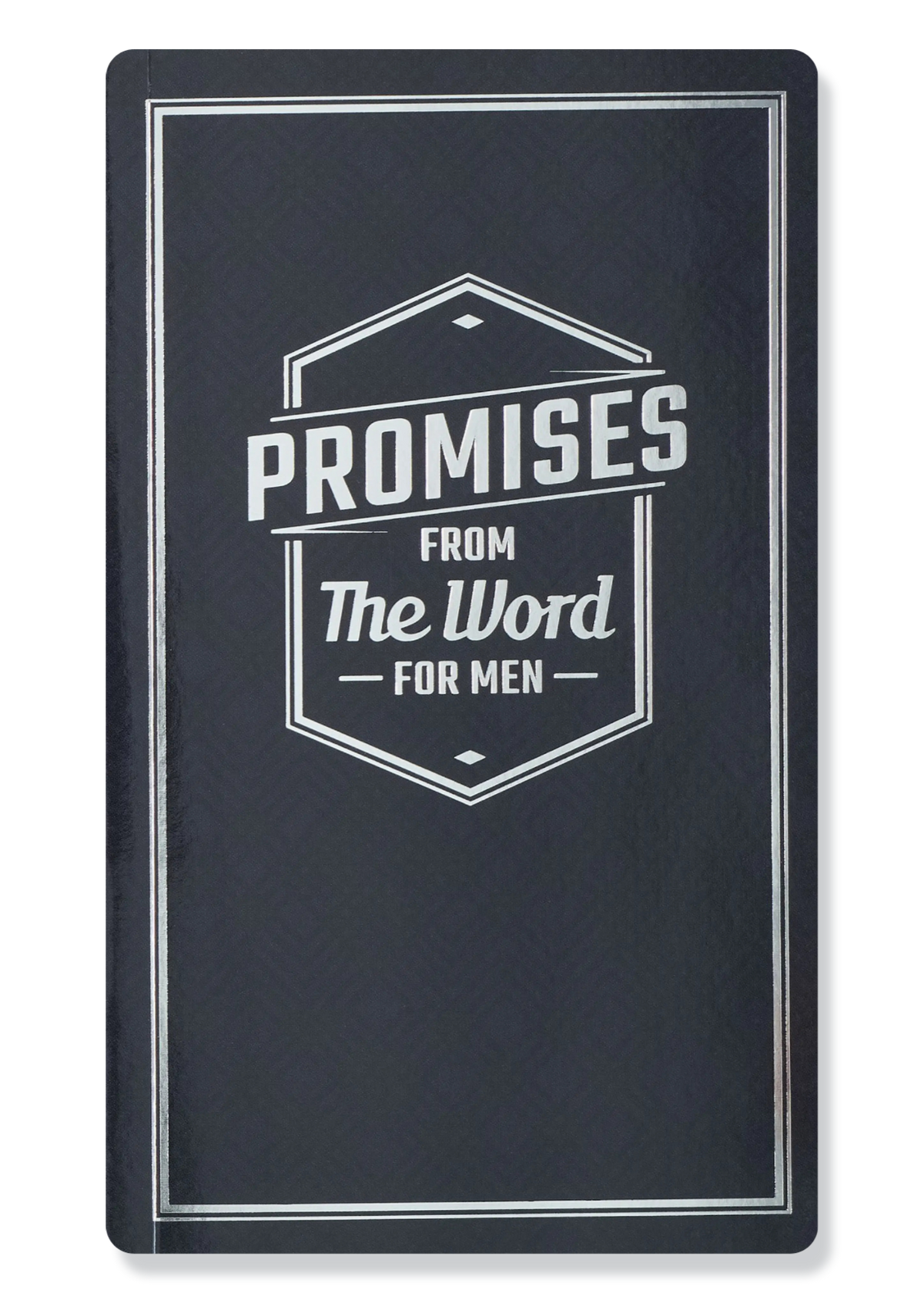 Promises From The Word For Men