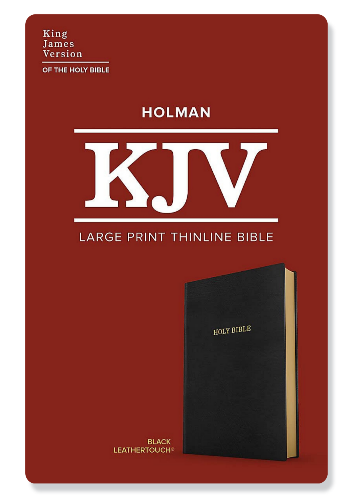 KJV Large Print Ultrathin Reference Bible, LeatherTouch (Black)