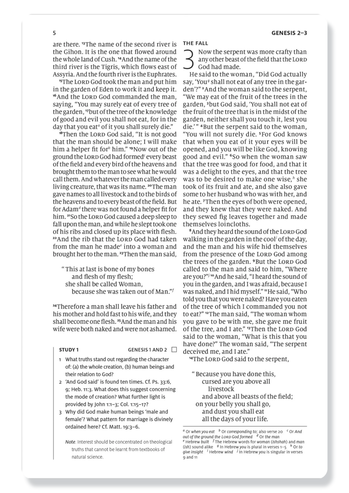 ESV Search The Scriptures Bible