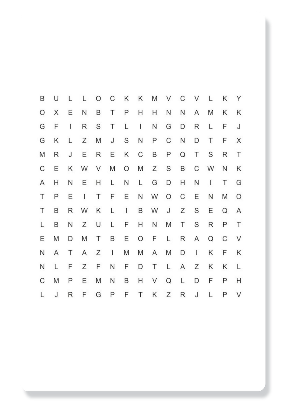 Big Bible Word Search