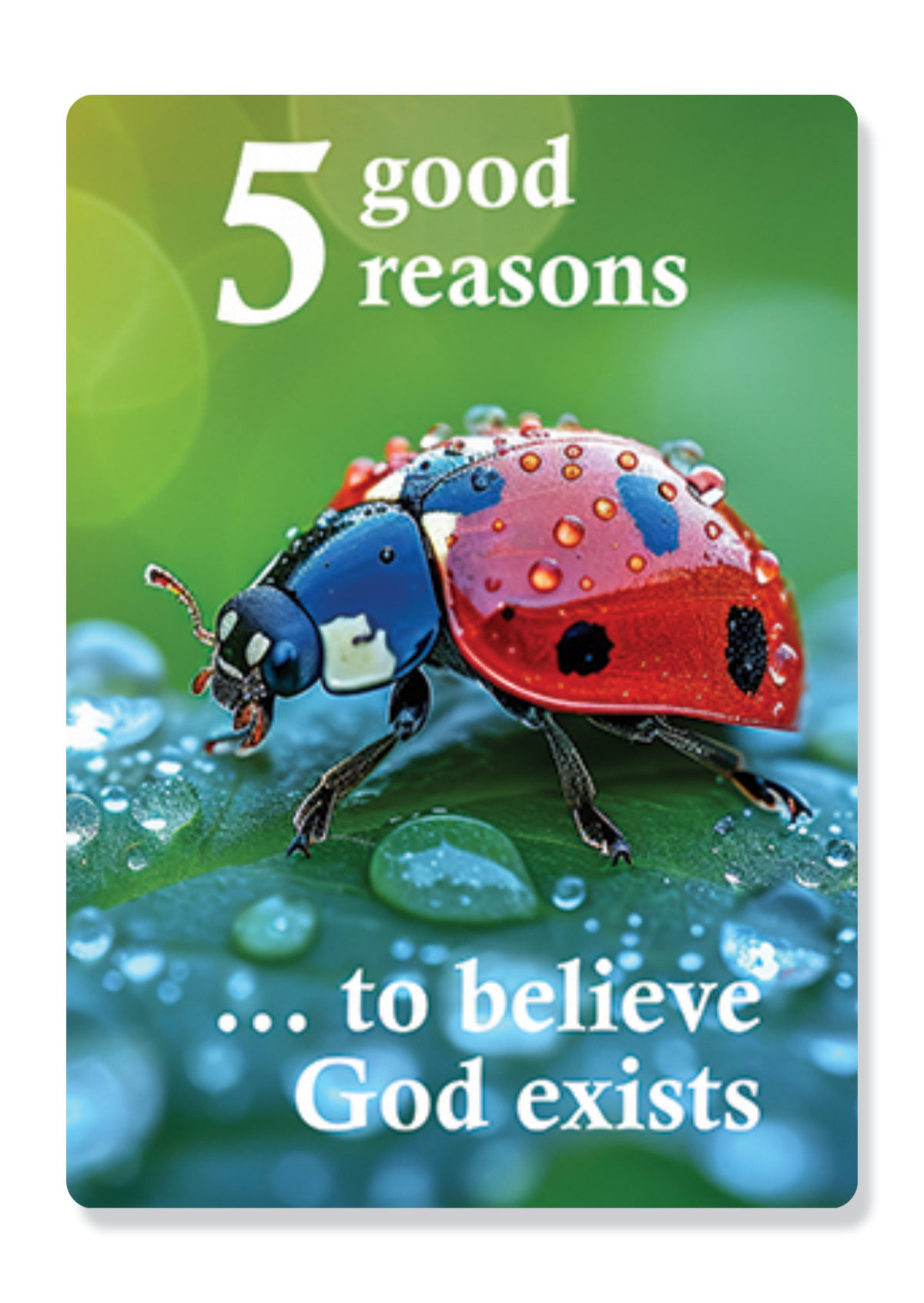 5 Good Reasons A6 Gospel Cards - Complete Set