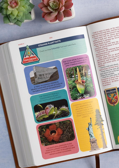 KJV Explorer Bible for Kids (Brown)