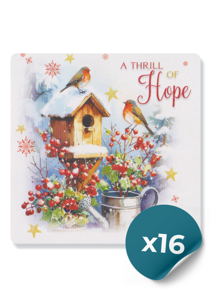 Christmas Cards: Garden Robins (16 Cards)