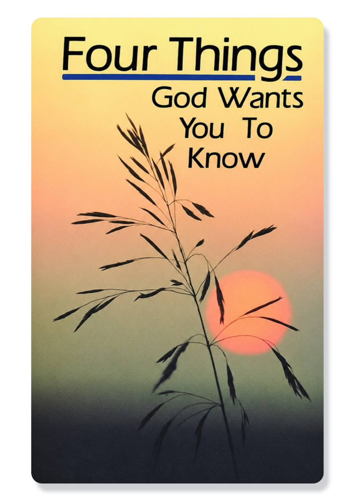 Four Things God Wants You To Know
