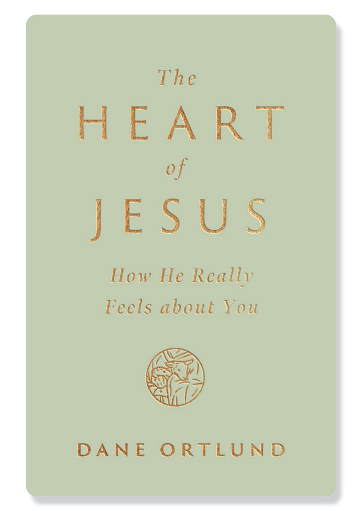 The Heart of Jesus: How He Really Feels about You