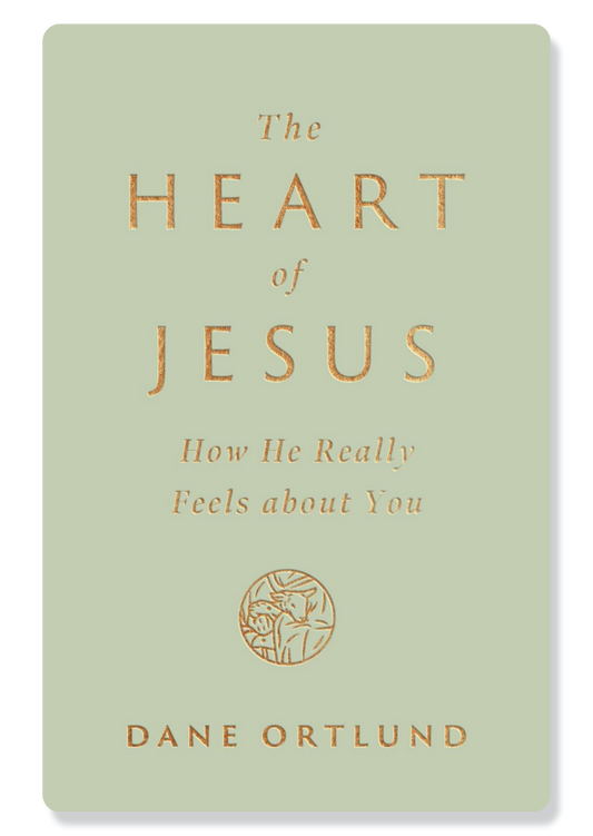 The Heart of Jesus: How He Really Feels about You