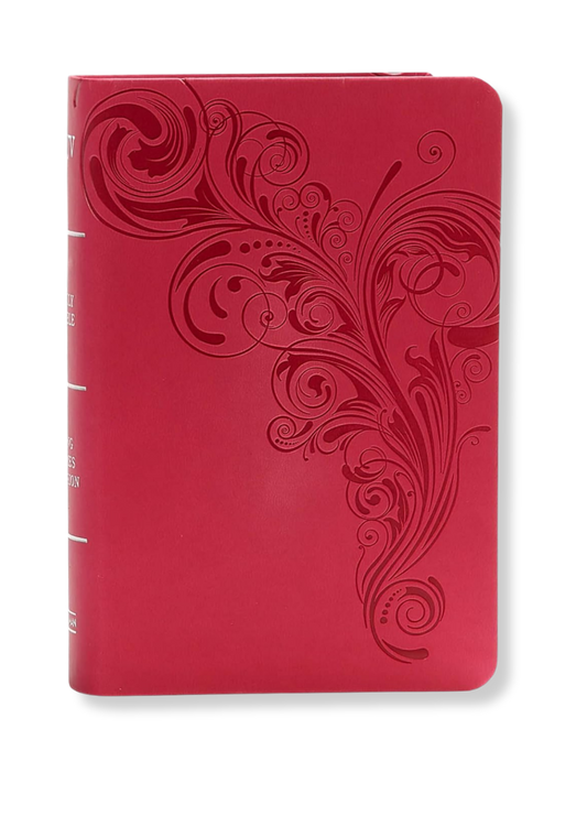 KJV Large Print Compact Reference Bible, Leathertouch (Pink)