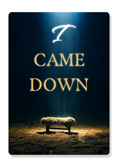 I Came Down