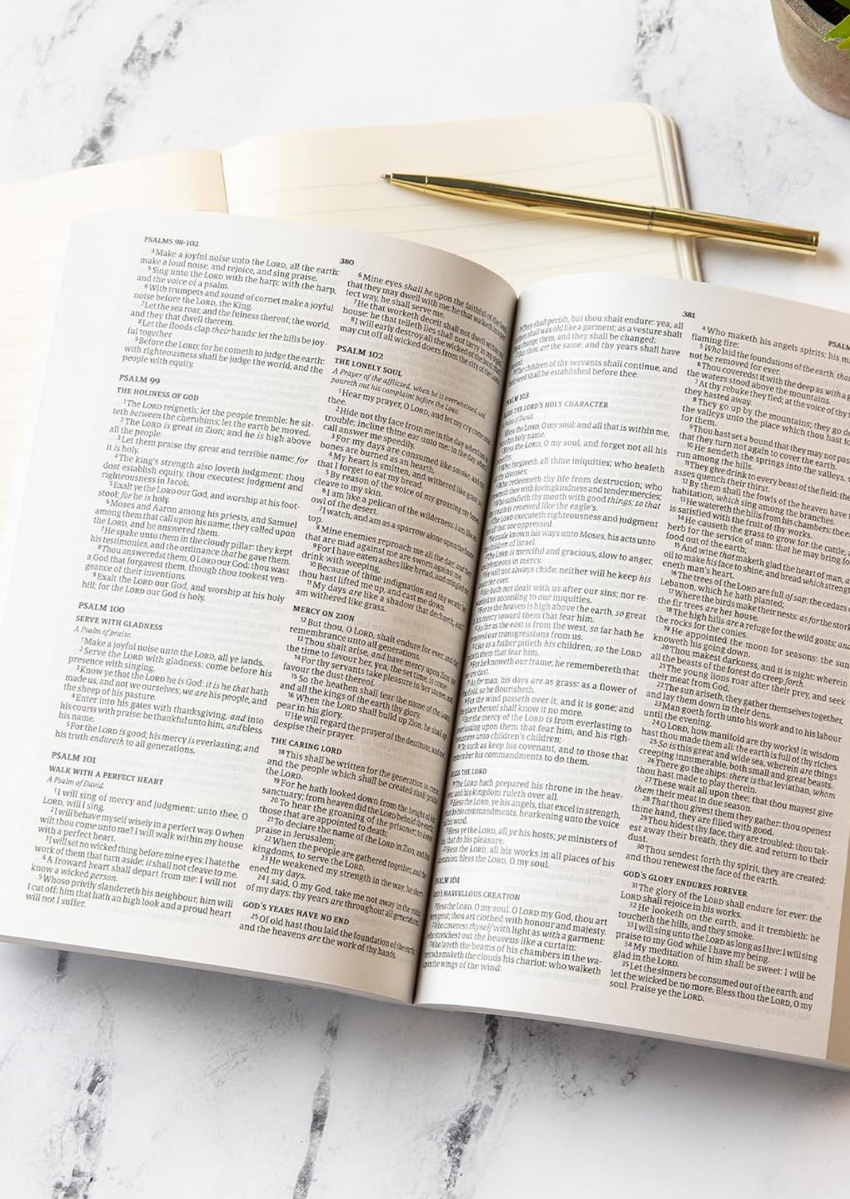 KJV Outreach Bible for Kids