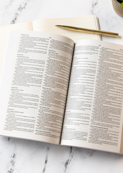 KJV Outreach Bible for Kids