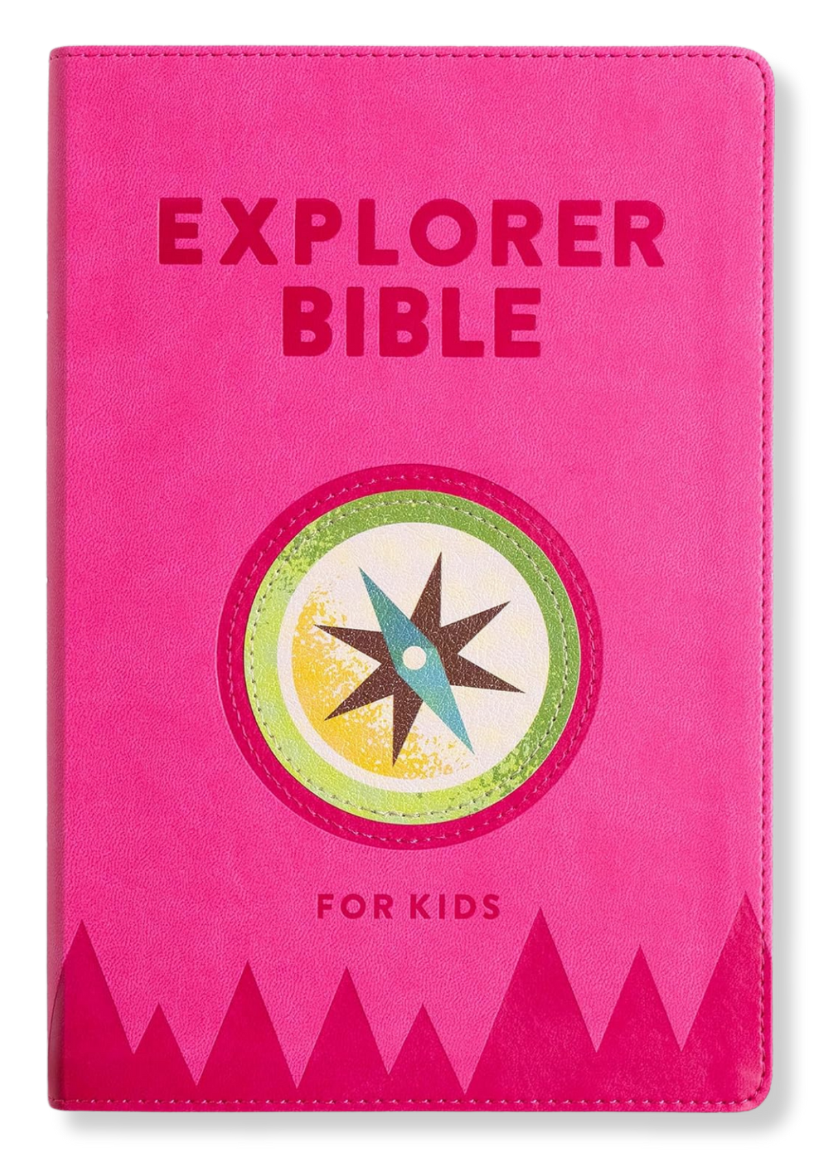 KJV Explorer Bible for Kids (Pink)