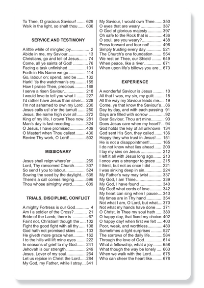 New Believer's Hymn Book