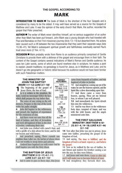 KJV God Keeps His Promises KJV Study Bible (Blue)