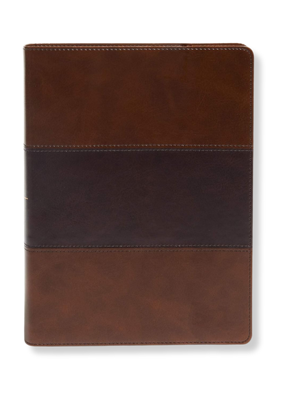 Holman KJV Study Bible, Full Colour Leather (Brown)