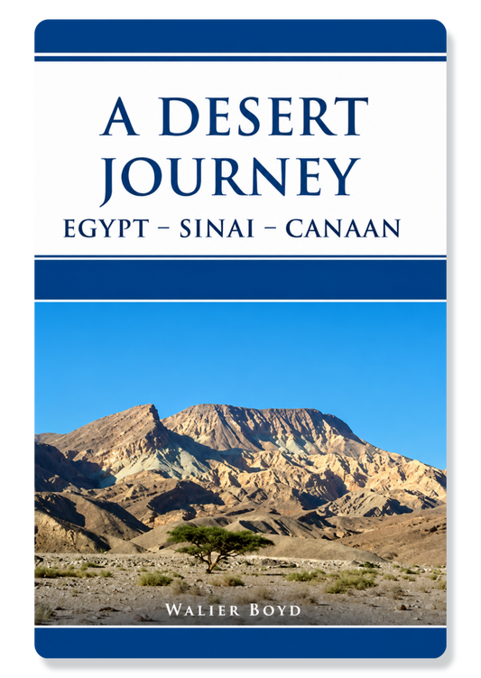A Desert Journey