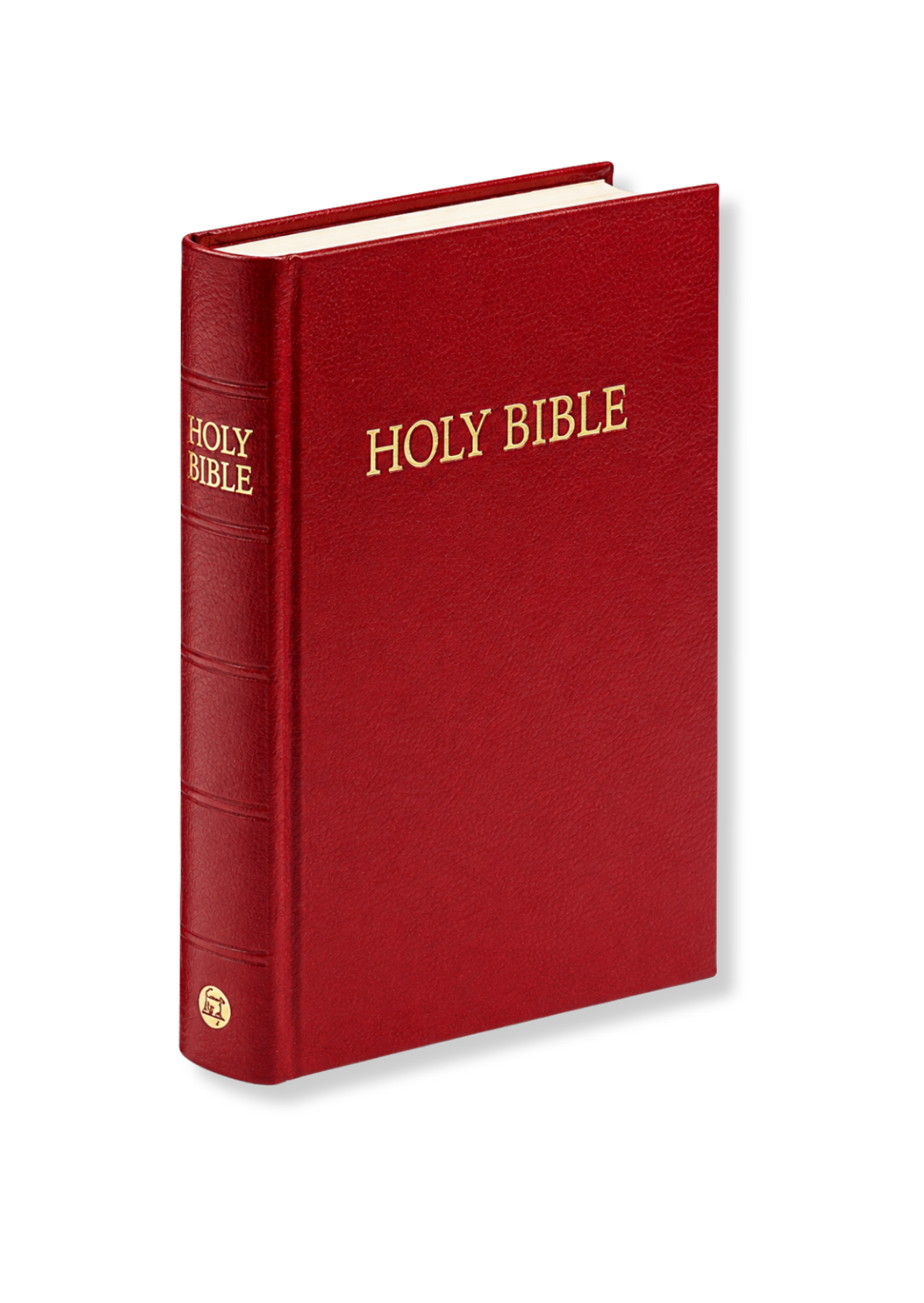 Compact KJV Bible (Red)