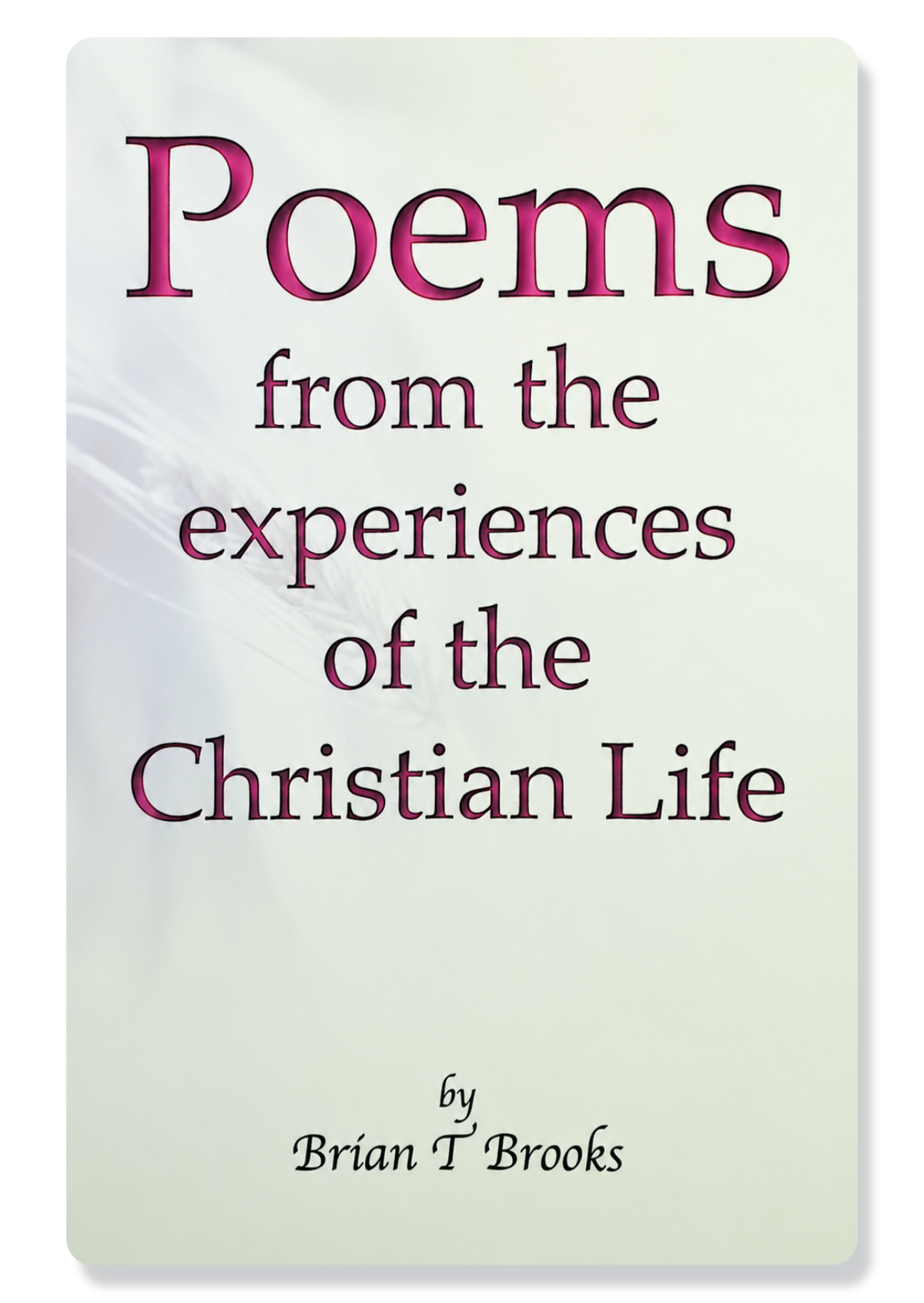 Poems From The Experiences Of The Christian Life