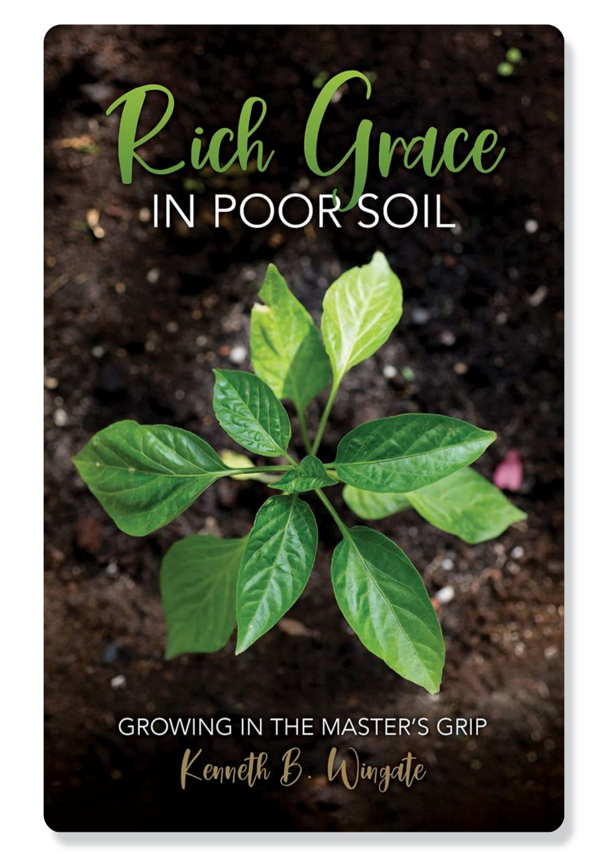 Rich Grace in Poor Soil