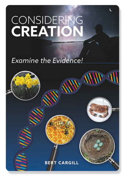 Considering Creation