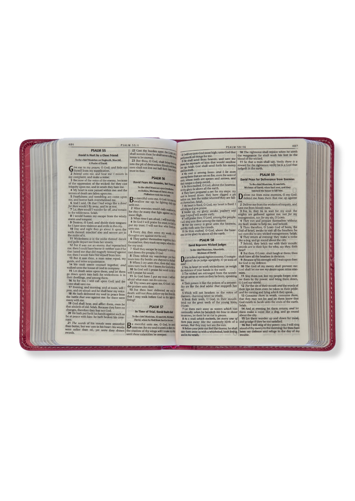 KJV Pocket Edition, Luxleather (Pink)