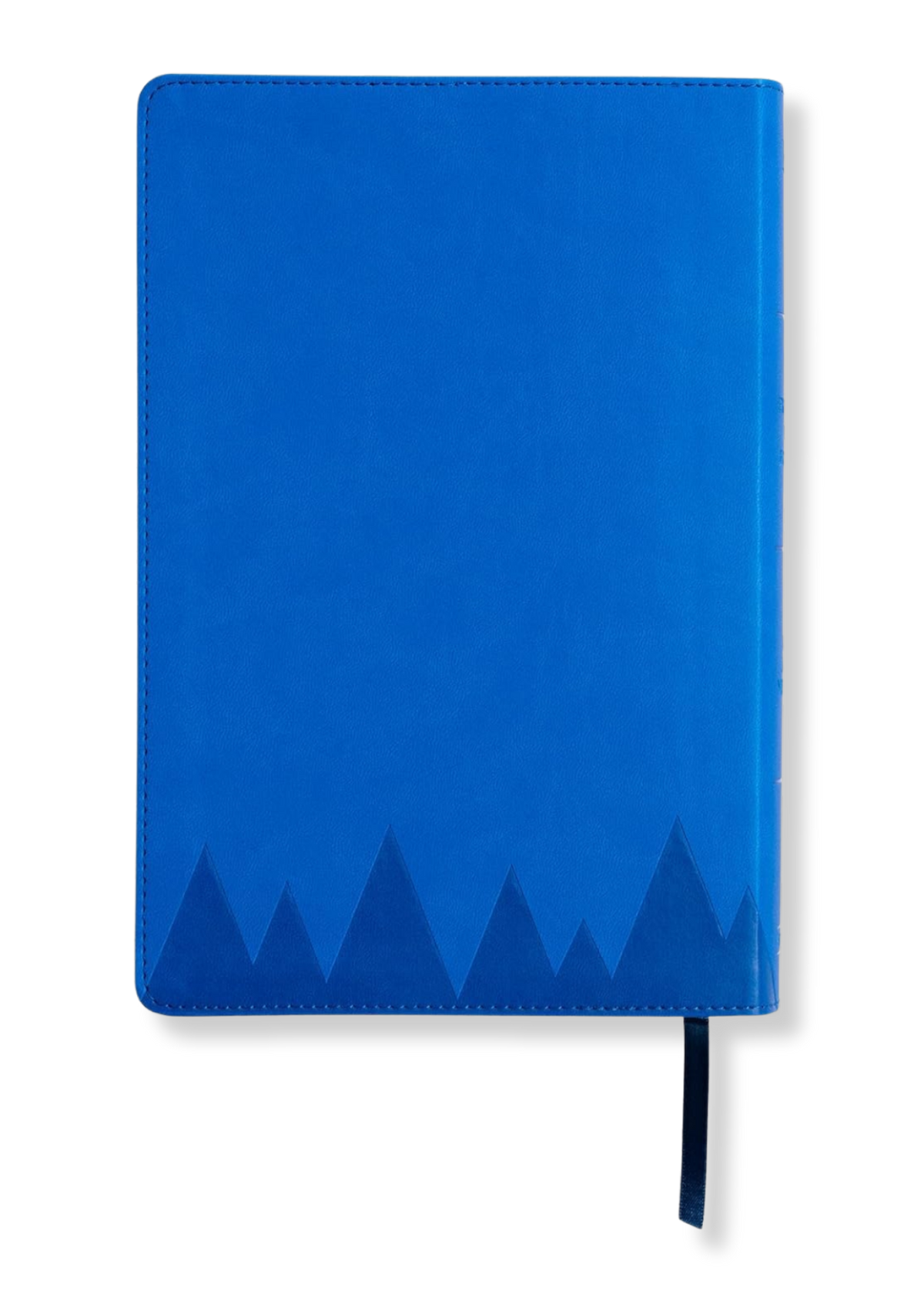 KJV Explorer Bible for Kids (Blue)